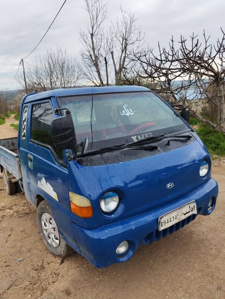 هيونداي بورتر 2001 - صورة 3