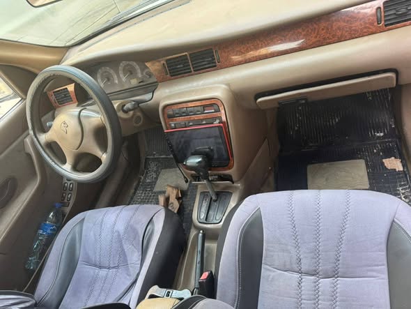 شام شام 2007 - صورة 3