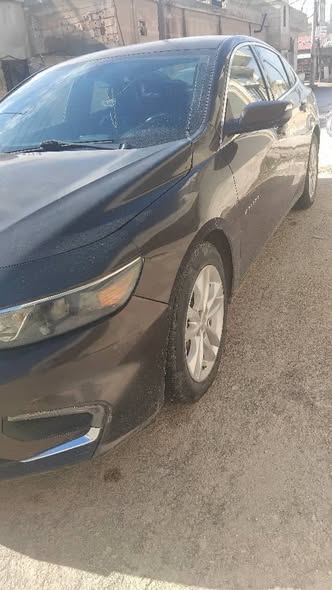 شفر ماليبو 2016 - صورة 3