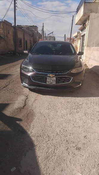 شفر ماليبو 2016 - صورة 4