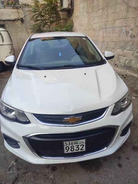 شفر افيو 2019