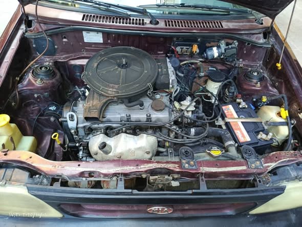 سابا سابا 2006 - صورة 3