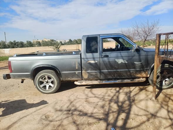 شيفروليه S10 2003 - صورة 3