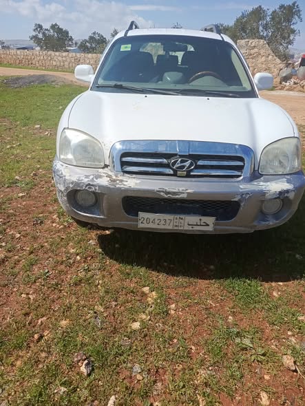 هيونداي سنتافي 2003 - صورة 2