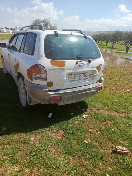 هيونداي سنتافي 2003 - صورة 5