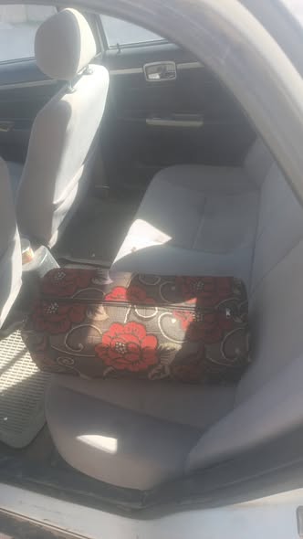 سيكي وان 2010 - صورة 4