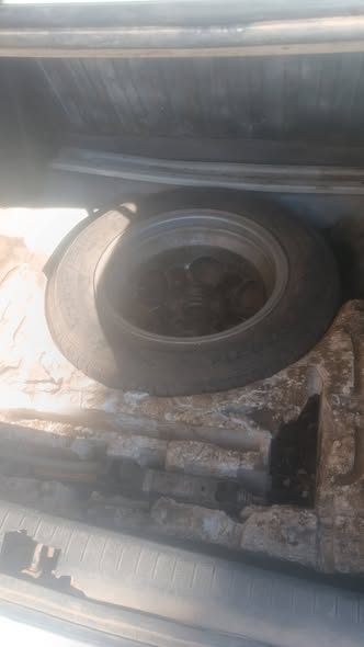 سيكي وان 2010 - صورة 5