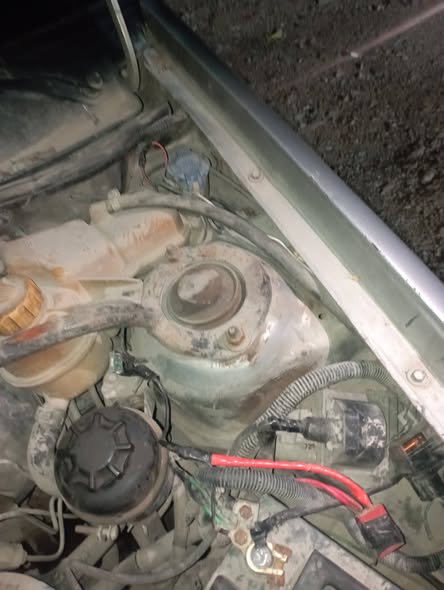 دايو سيلو 2002 - صورة 4