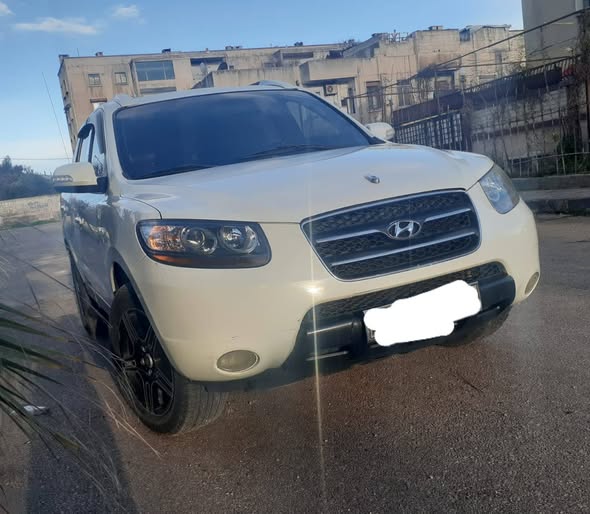 هيونداي توسان 2011 - صورة 1