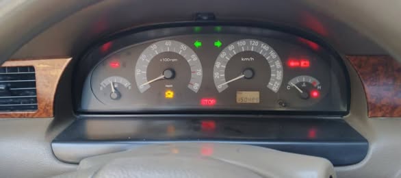 شام شام 2009 - صورة 3