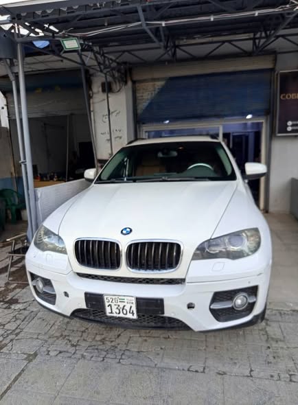 بي ام دبليو اكس 6 2010 - صورة 2