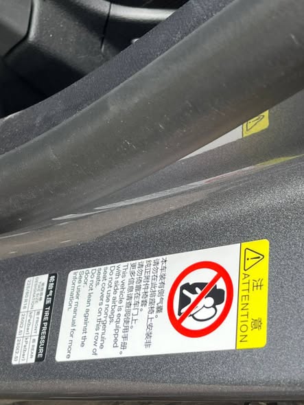 بي واي دي ديستروير 2025 - صورة 3