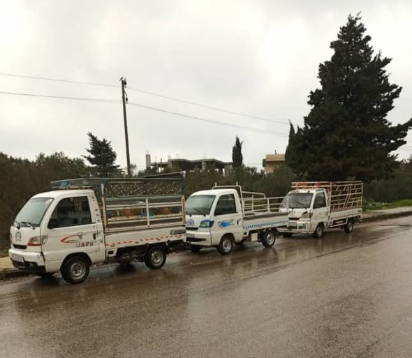 هافي سونك 2009