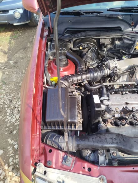 دايو سيلو 2003 - صورة 4