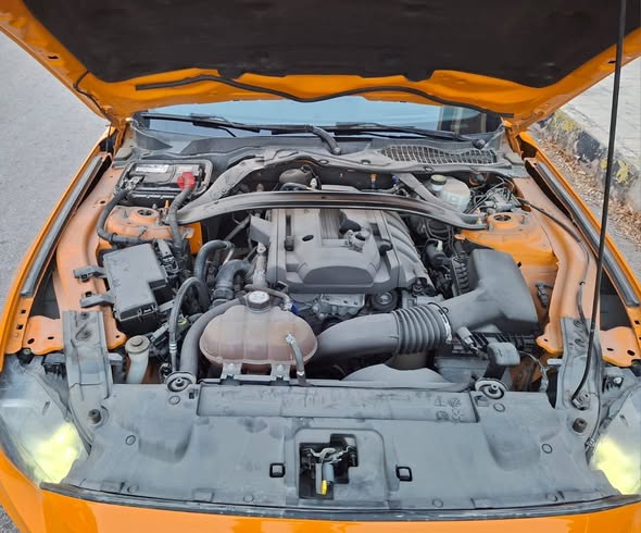 فورد موستنج 2019 - صورة 2