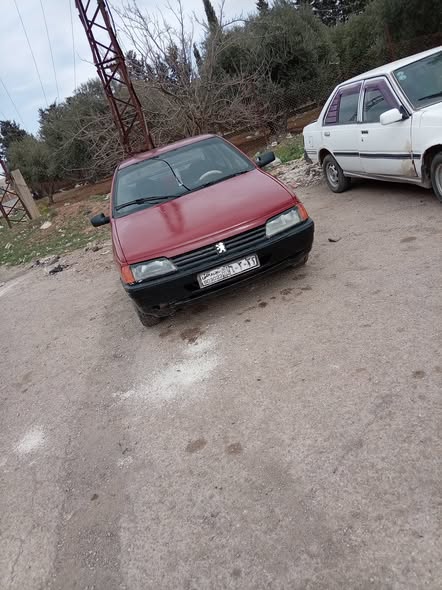 بيجو 405 1993 - صورة 1