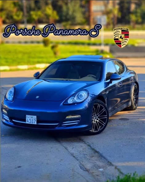 بورش باناميرا 2010