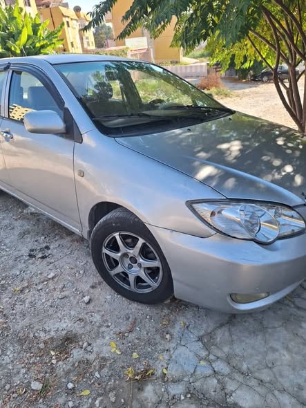 بي واي دي اف 3 2011 - صورة 2