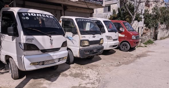 شانا شانا 2011 - صورة 2