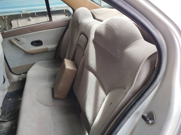 شام شام 2008 - صورة 4