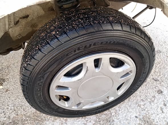 هافي سونغ 2005 - صورة 3