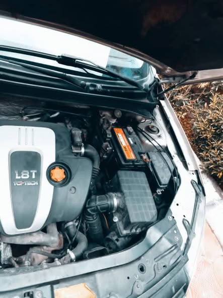 روفي 550 2009 - صورة 2