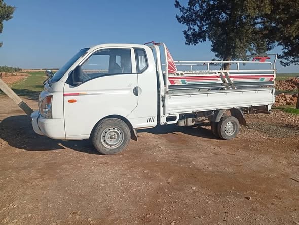 هيونداي بورتر 2010