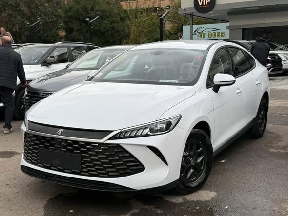 بي واي دي QIN PLUS 2025 - صورة 2