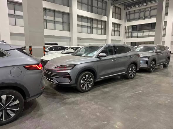 بي واي دي سونغ بلس 2025 - صورة 3