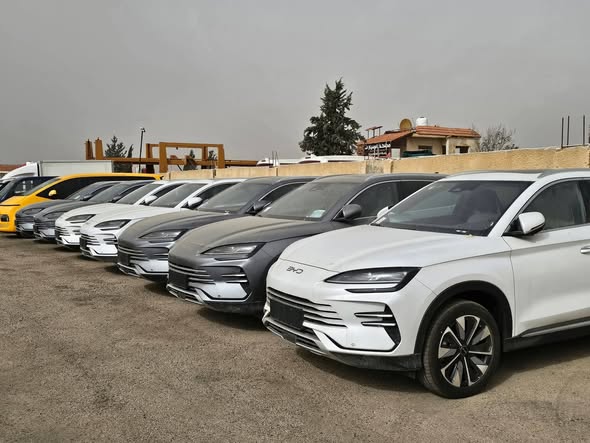 بي واي دي سونغ بلس 2025 - صورة 4