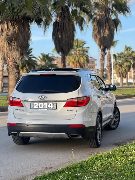 هيونداي ماكسكروز 2014 - صورة 1