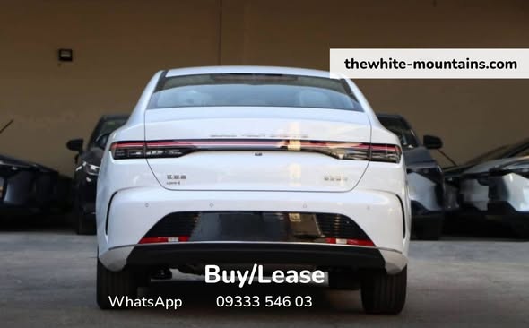 بي واي دي ديستروير 05 2025 - صورة 2