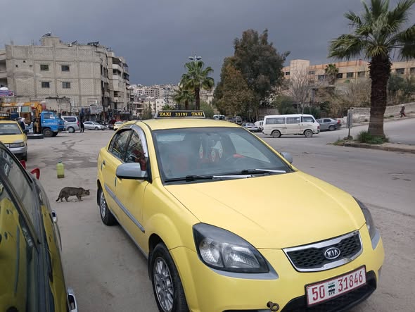 كيا ريو 2011 - صورة 4