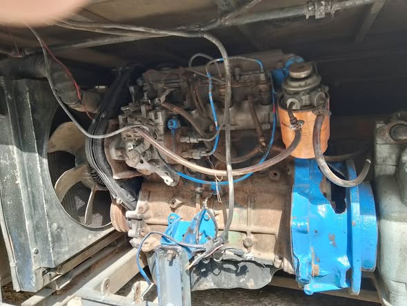 اسوزو اسوزو 1993 - صورة 3