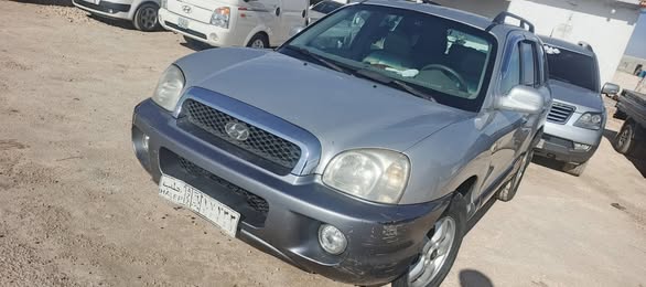 هيونداي سنتافي 2004 - صورة 2