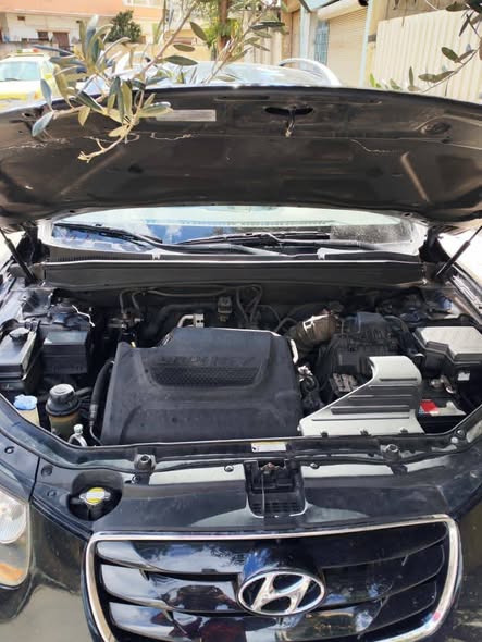 هيونداي سانتا في 2011 - صورة 3