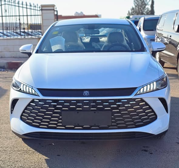 بي واي دي تشين بلس 2025 - صورة 1