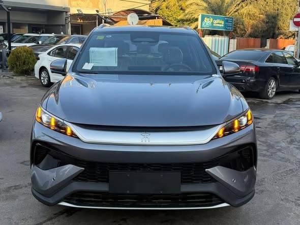 بي واي دي سونغ برو 2025 - صورة 2