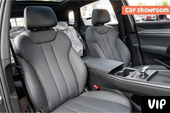 بي واي دي سونغ برو 2025 - صورة 4