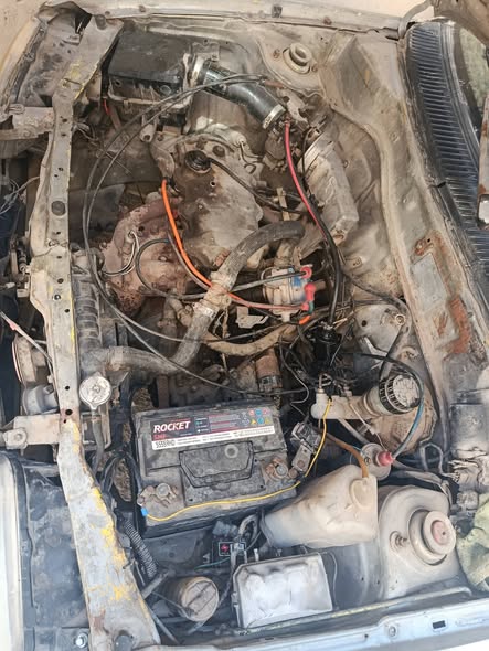 فاو أخرى 2006