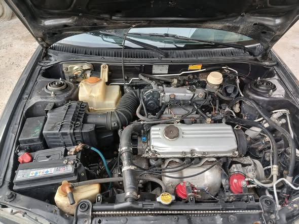 بروتون ويرا 2002