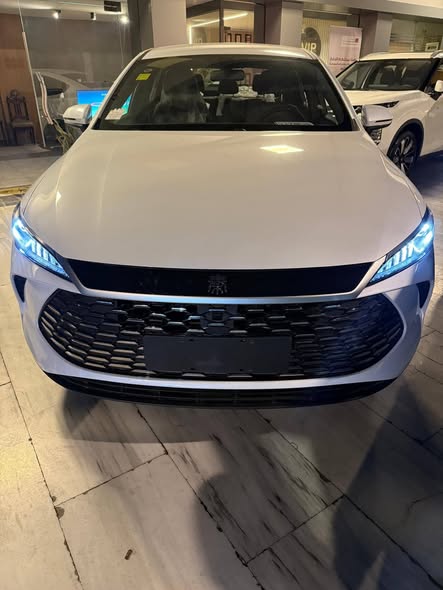 بي واي دي تشين بلس 2025