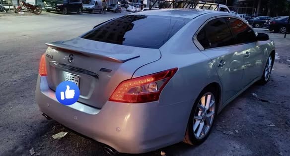 نيسان ماكسيما 2011 - صورة 2