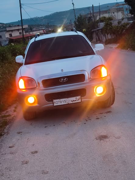 هيونداي سانتا في 2003 - صورة 2