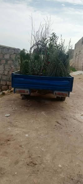 هيونداي بورتر 1998 - صورة 3