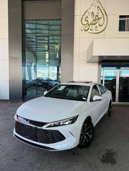 بي واي دي كين إل 2024 - صورة 1