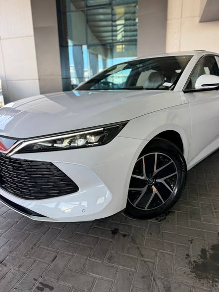 بي واي دي كين إل 2024 - صورة 3