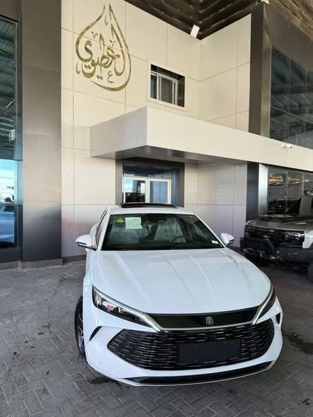 بي واي دي كين إل 2024 - صورة 5