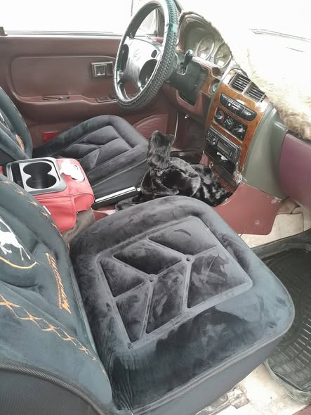 غريت وول دير 2008 - صورة 2