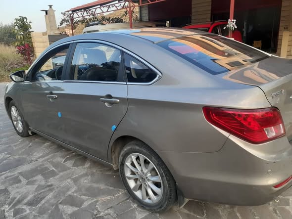 دي اف ام اس 50 2018 - صورة 3